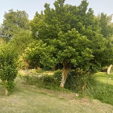 住宿加早餐酒店 Le Petit Moulin